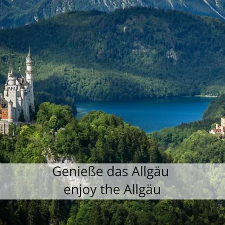 Nice2be Lions - Zentrum