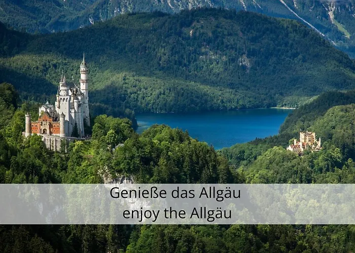 Nice2be Lions - Zentrum